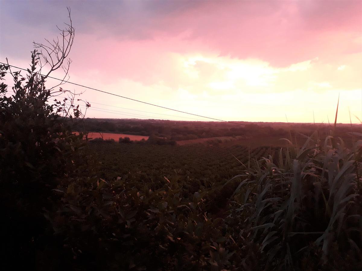 Willa Domaine De Beaumont Agde Zewnętrze zdjęcie